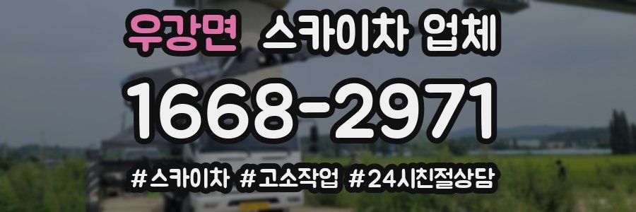 우강면 스카이차 업체