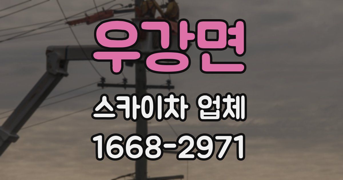 우강면 스카이차 업체