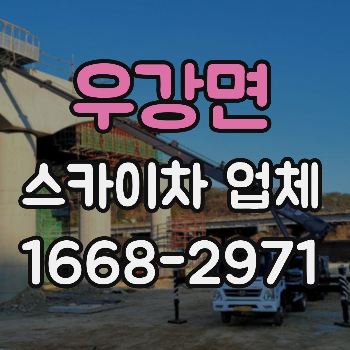 우강면 스카이차 업체