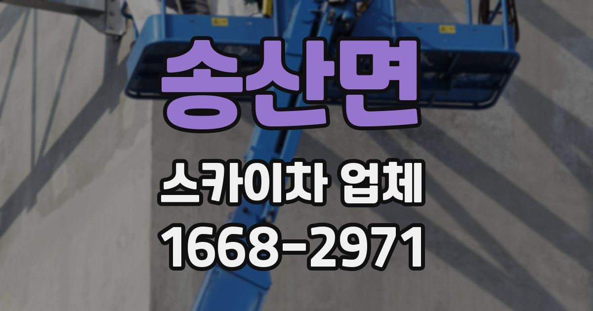 송산면 스카이차 업체