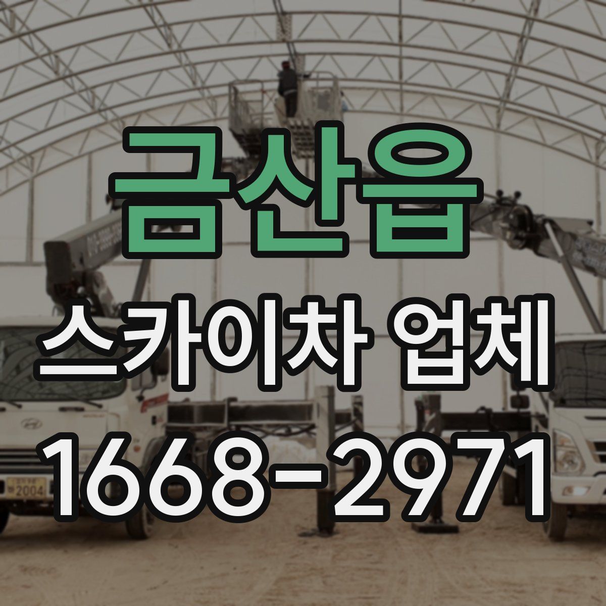 금산읍 스카이차 업체