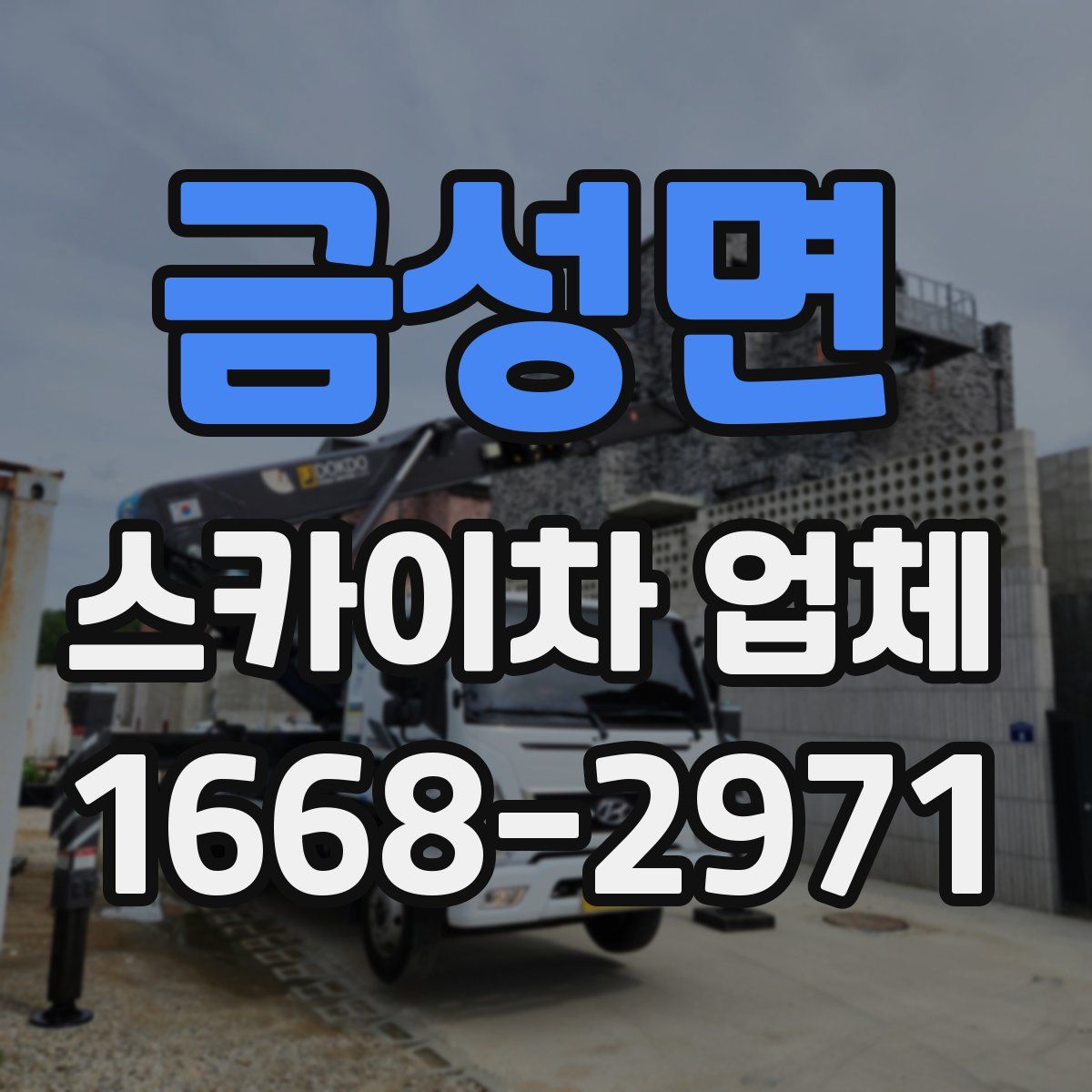 금성면 스카이차 업체