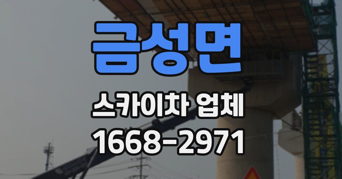 금성면 스카이차 업체