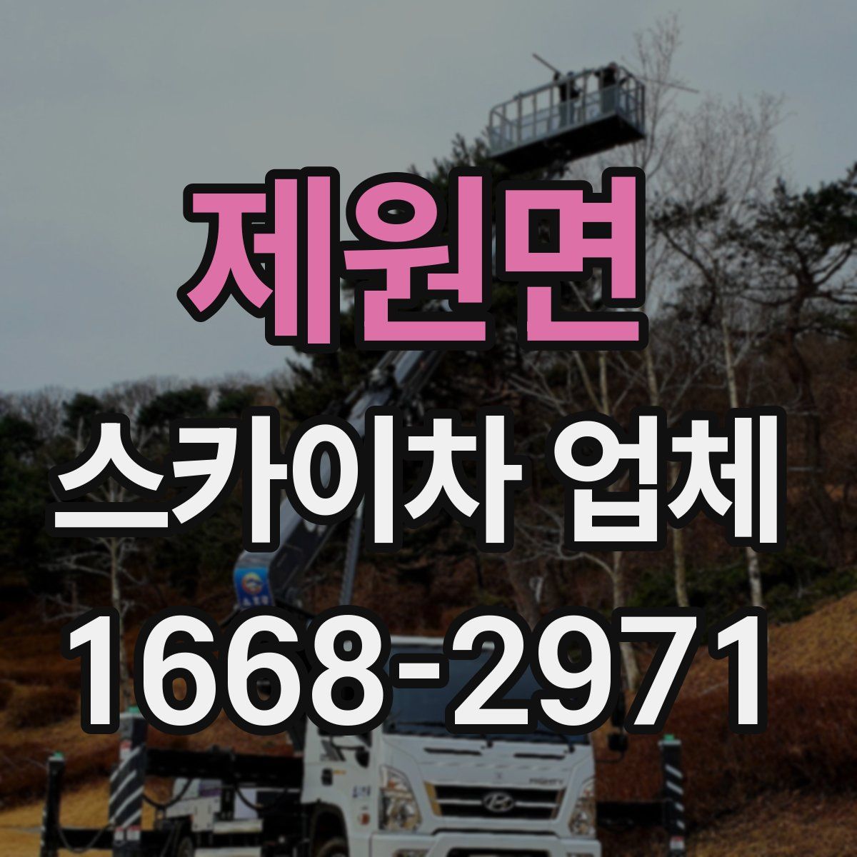 제원면 스카이차 업체