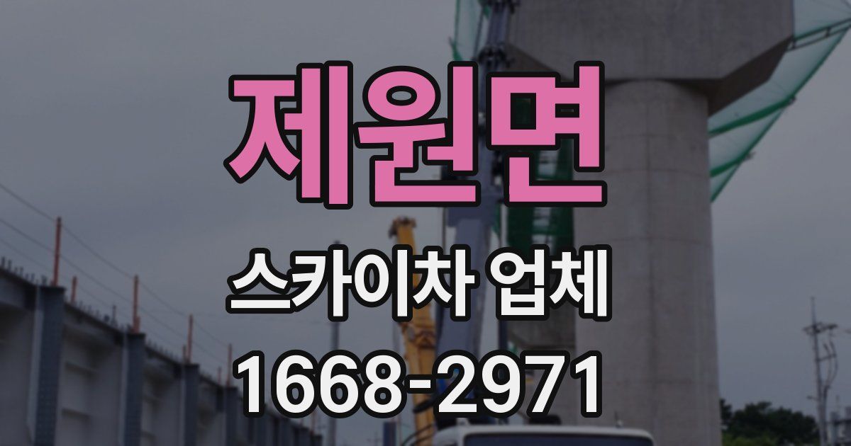 제원면 스카이차 업체