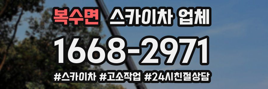 복수면 스카이차 업체