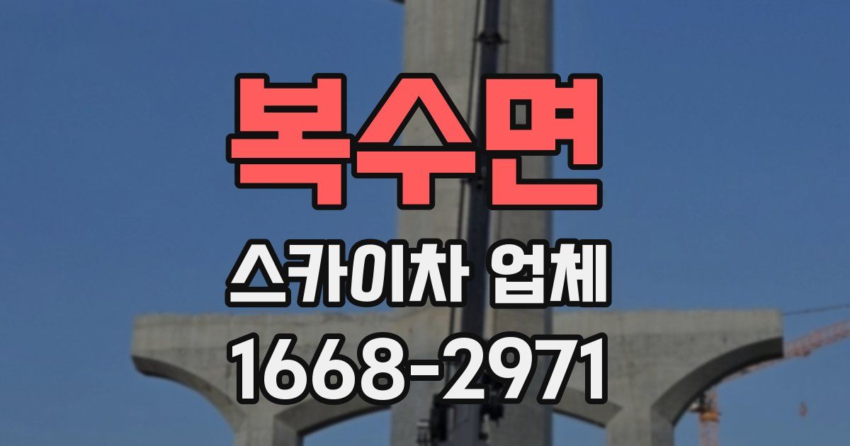 복수면 스카이차 업체