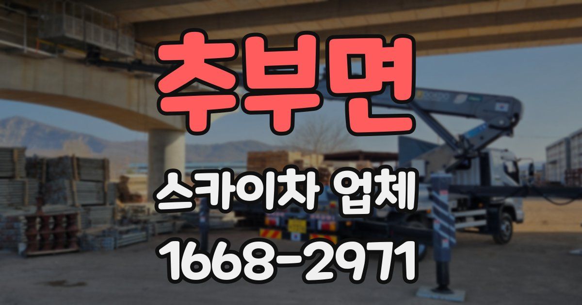 추부면 스카이차 업체