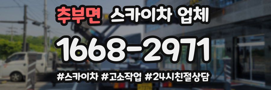 추부면 스카이차 업체