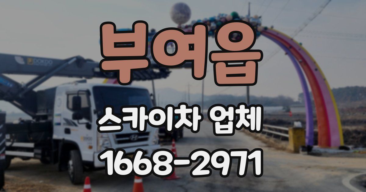부여읍 스카이차 업체