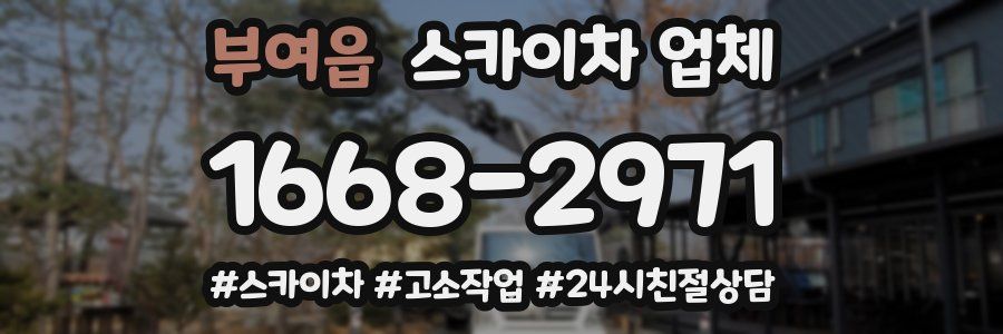 부여읍 스카이차 업체