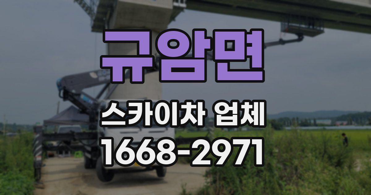 규암면 스카이차 업체