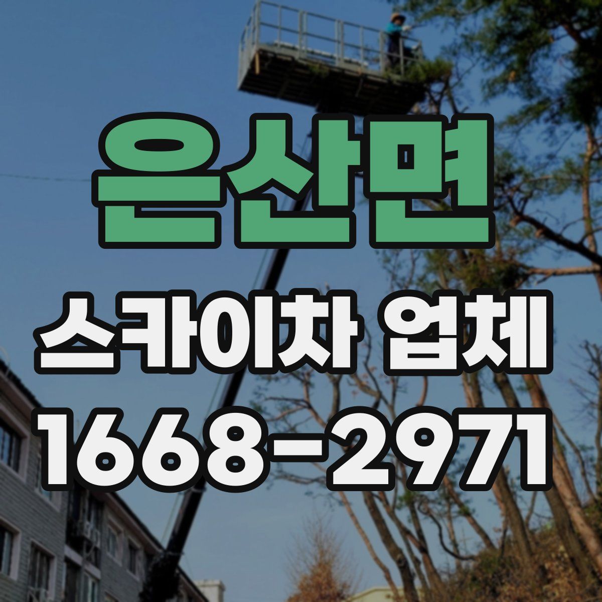 은산면 스카이차 업체
