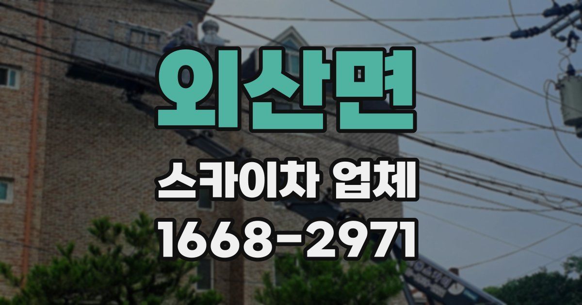 외산면 스카이차 업체
