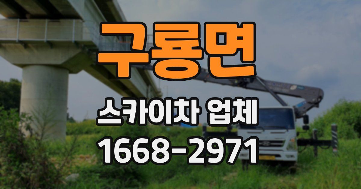 구룡면 스카이차 업체