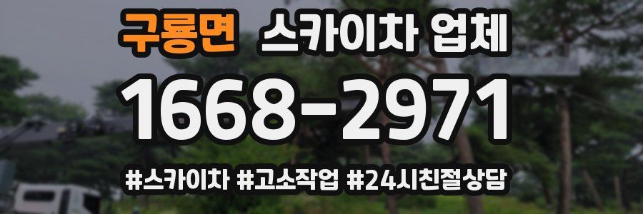 구룡면 스카이차 업체