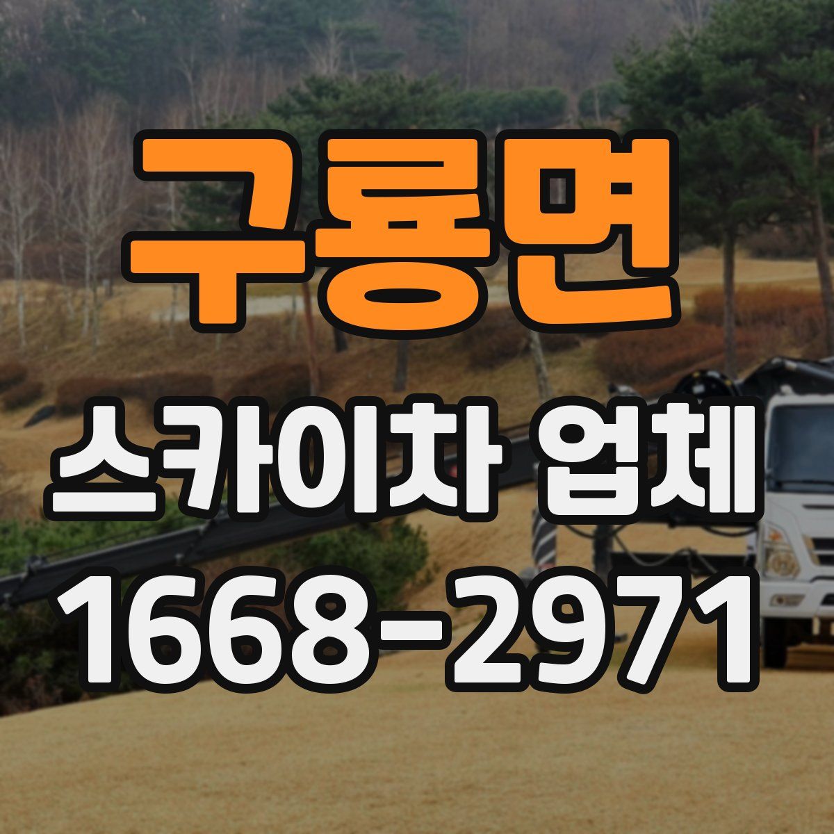 구룡면 스카이차 업체