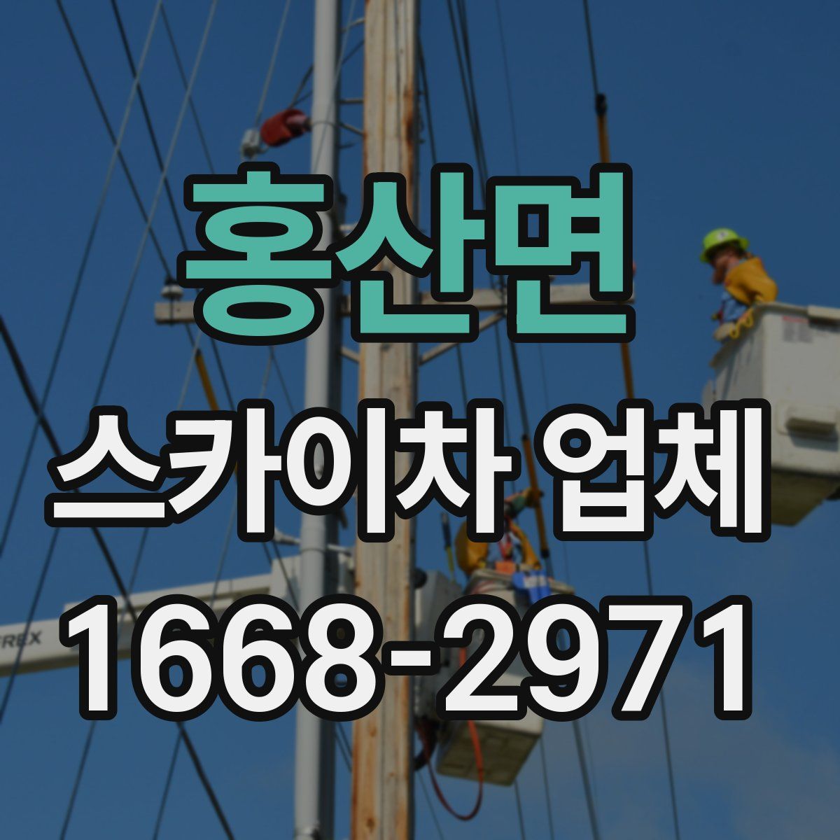 홍산면 스카이차 업체