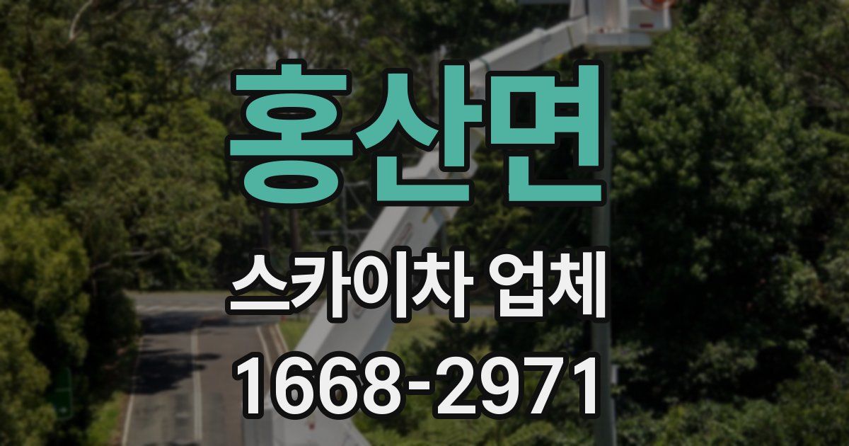 홍산면 스카이차 업체