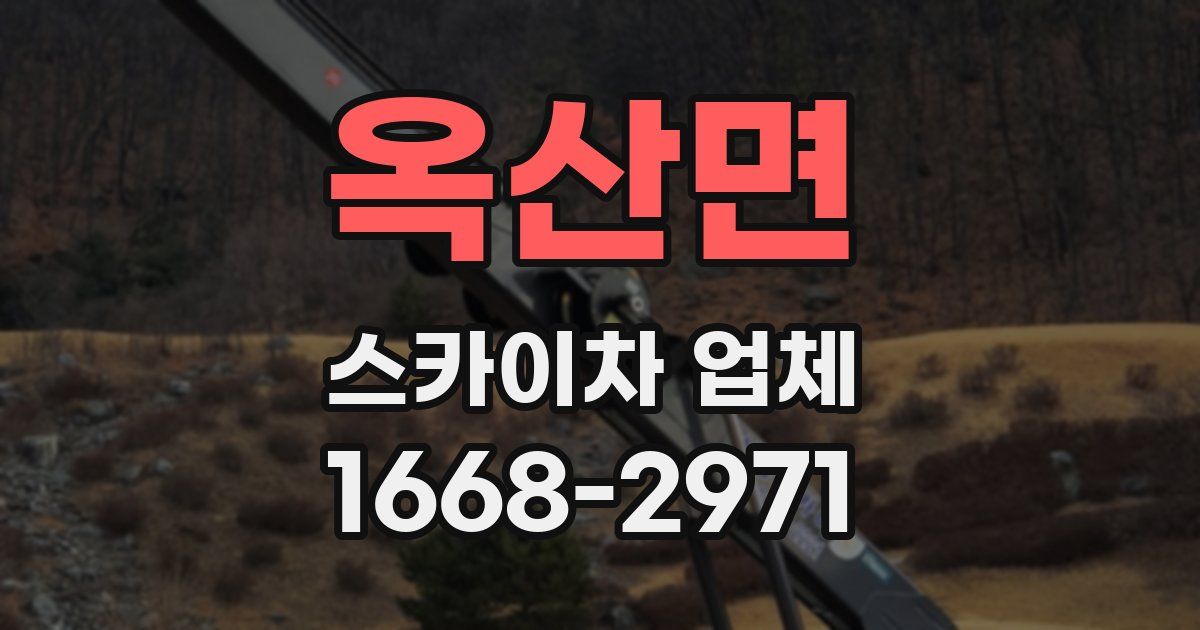 옥산면 스카이차 업체