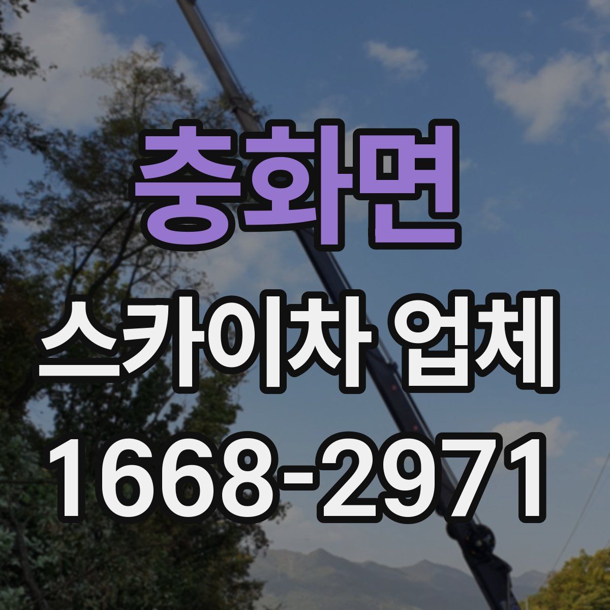 충화면 스카이차 업체