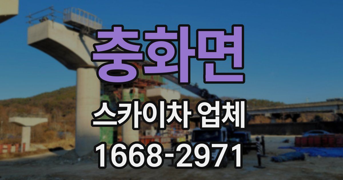 충화면 스카이차 업체