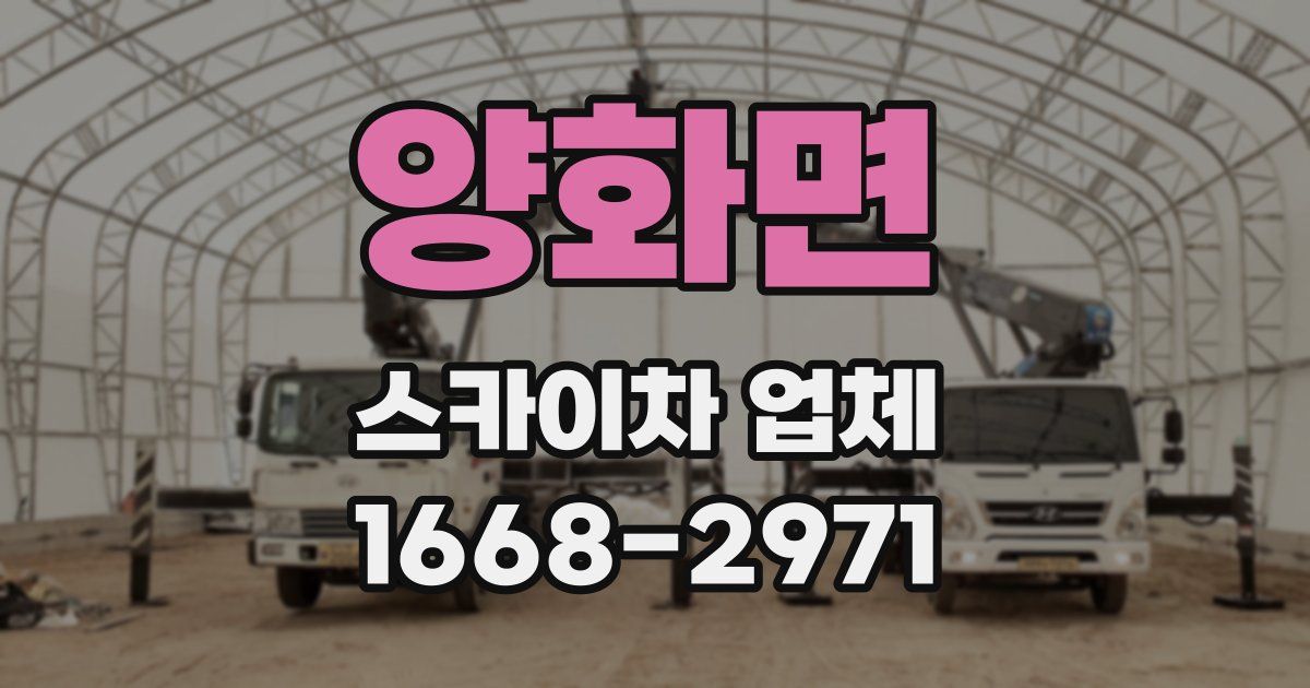양화면 스카이차 업체