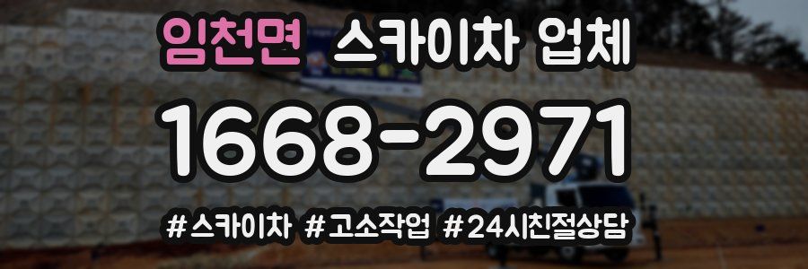 임천면 스카이차 업체
