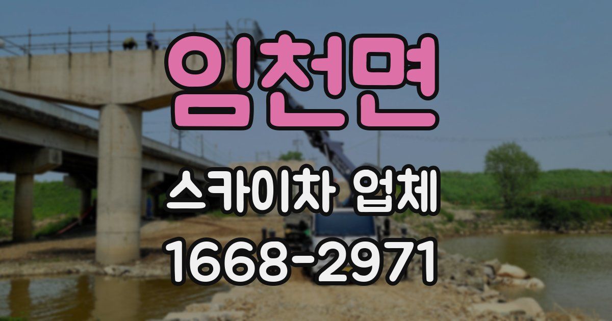 임천면 스카이차 업체