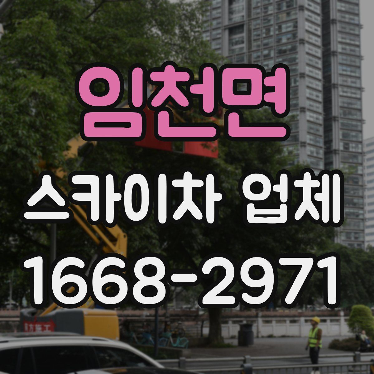임천면 스카이차 업체