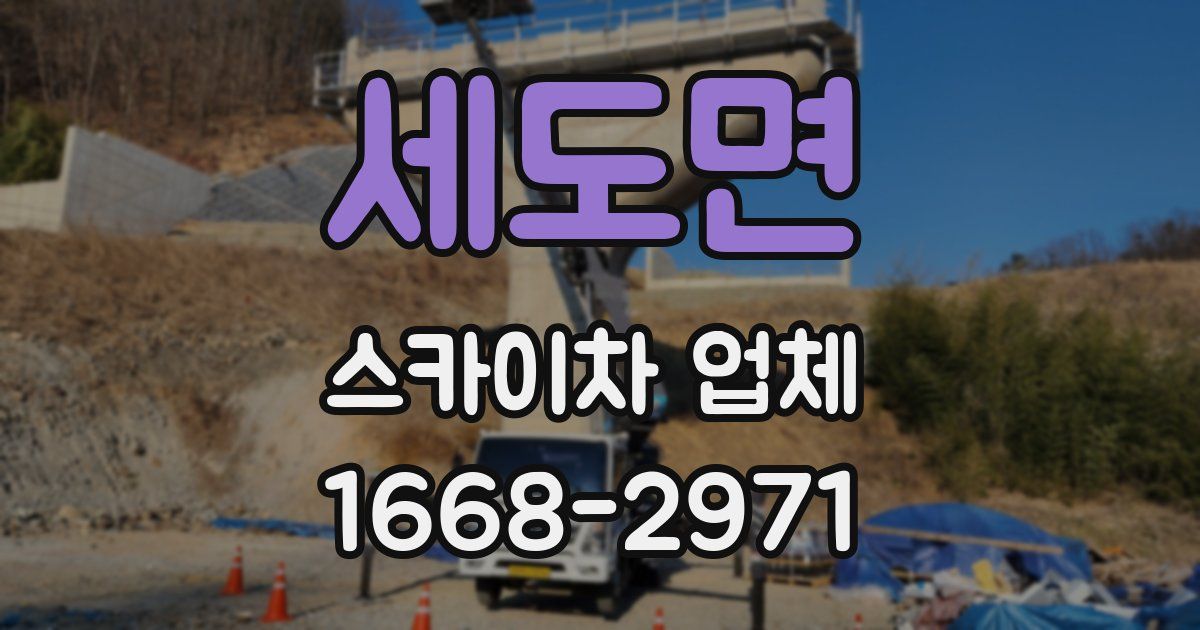 세도면 스카이차 업체