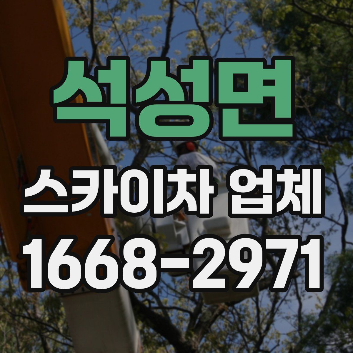 석성면 스카이차 업체