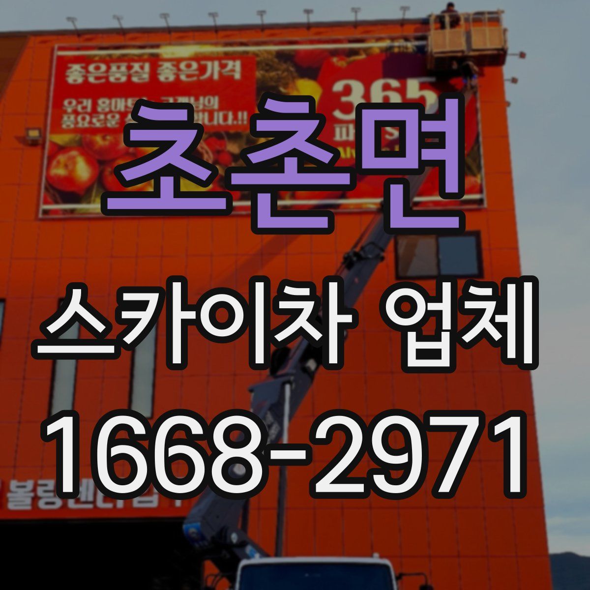 초촌면 스카이차 업체
