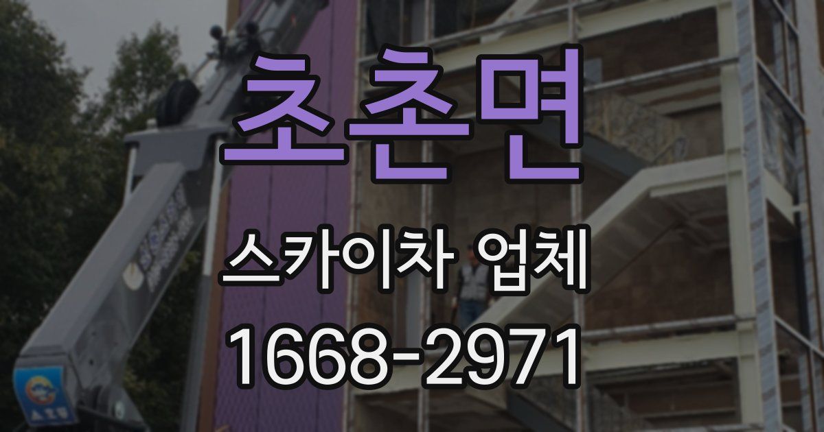 초촌면 스카이차 업체