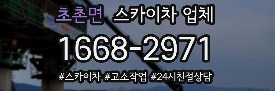초촌면 스카이차 업체