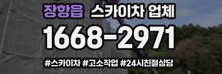 장항읍 스카이차 업체