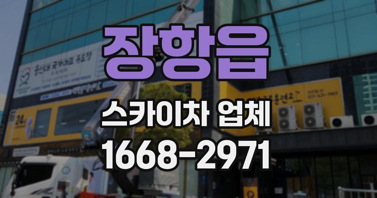 장항읍 스카이차 업체