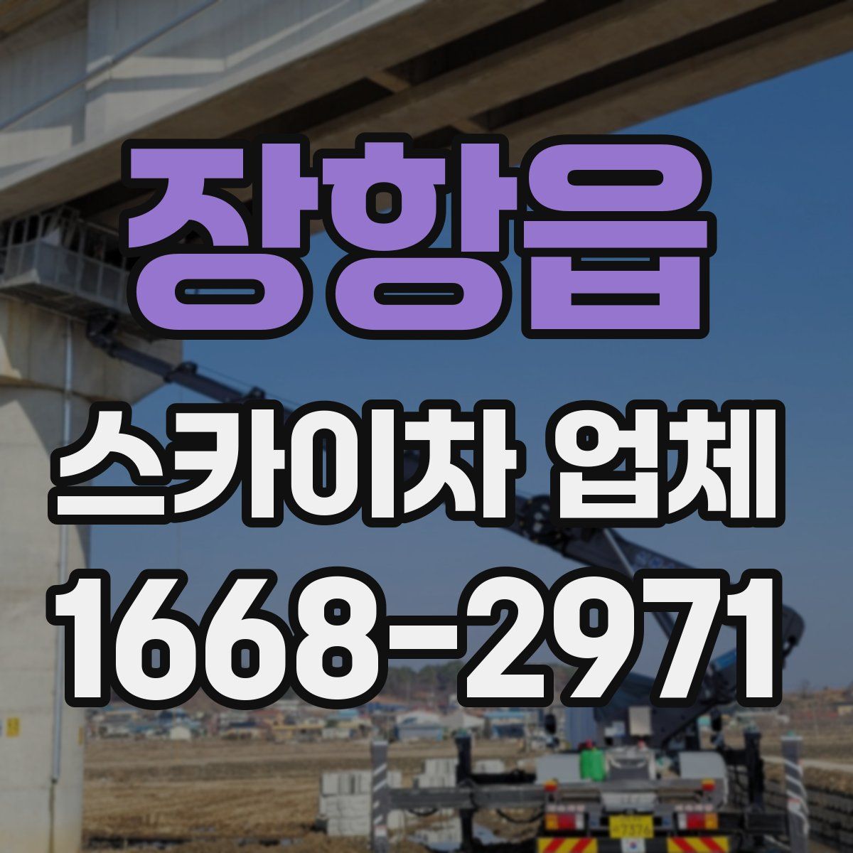 장항읍 스카이차 업체
