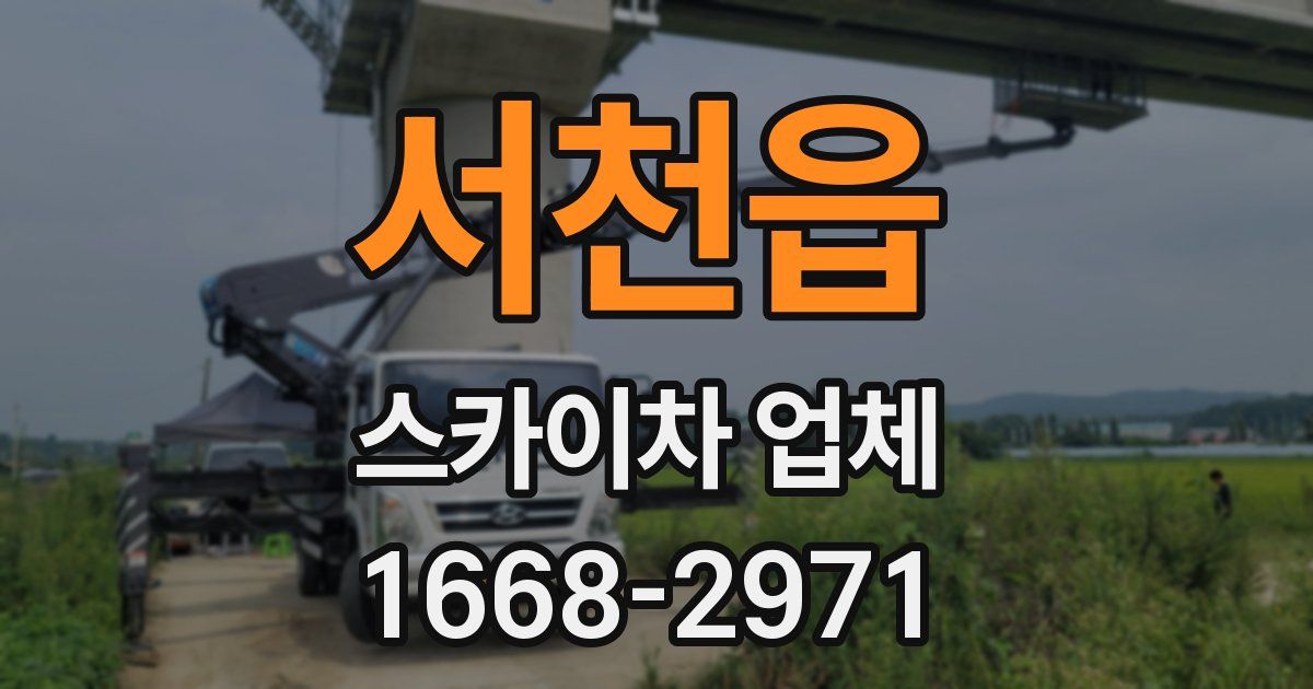 서천읍 스카이차 업체