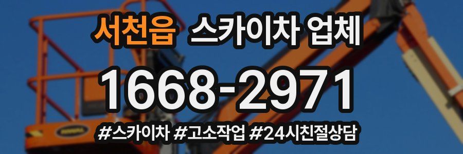 서천읍 스카이차 업체