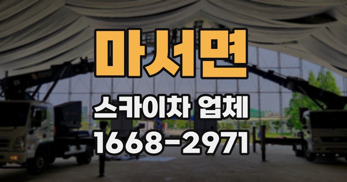 마서면 스카이차 업체