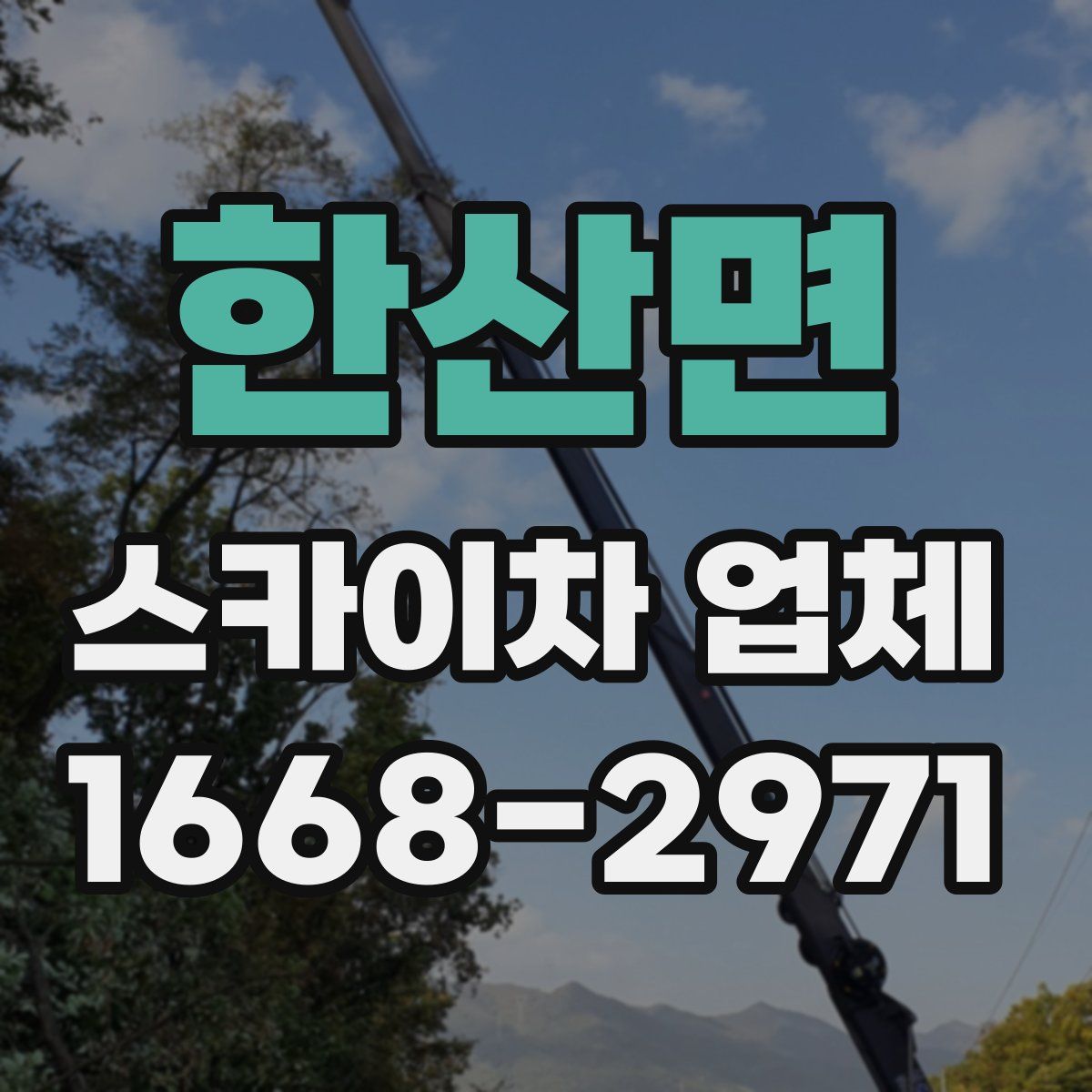 한산면 스카이차 업체