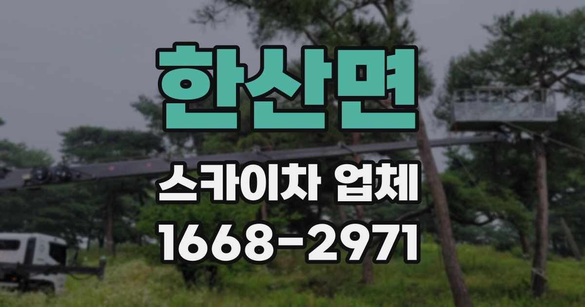 한산면 스카이차 업체