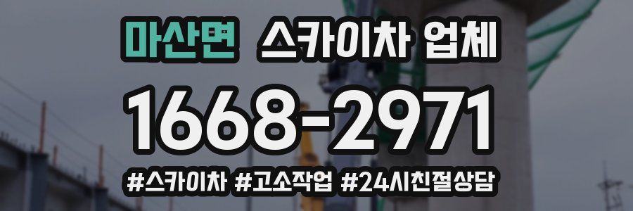 마산면 스카이차 업체
