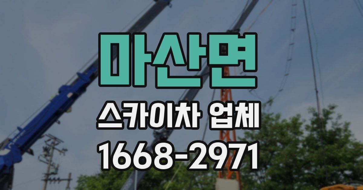 마산면 스카이차 업체