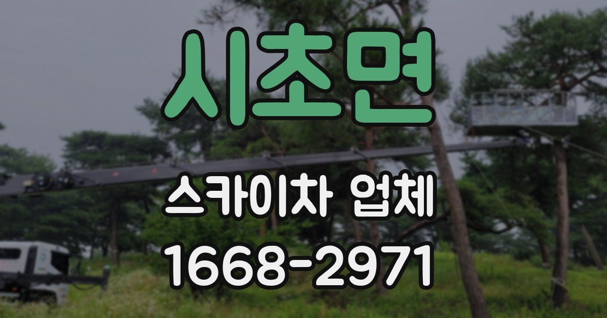 시초면 스카이차 업체
