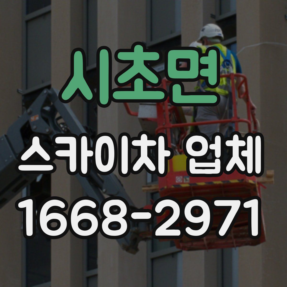 시초면 스카이차 업체