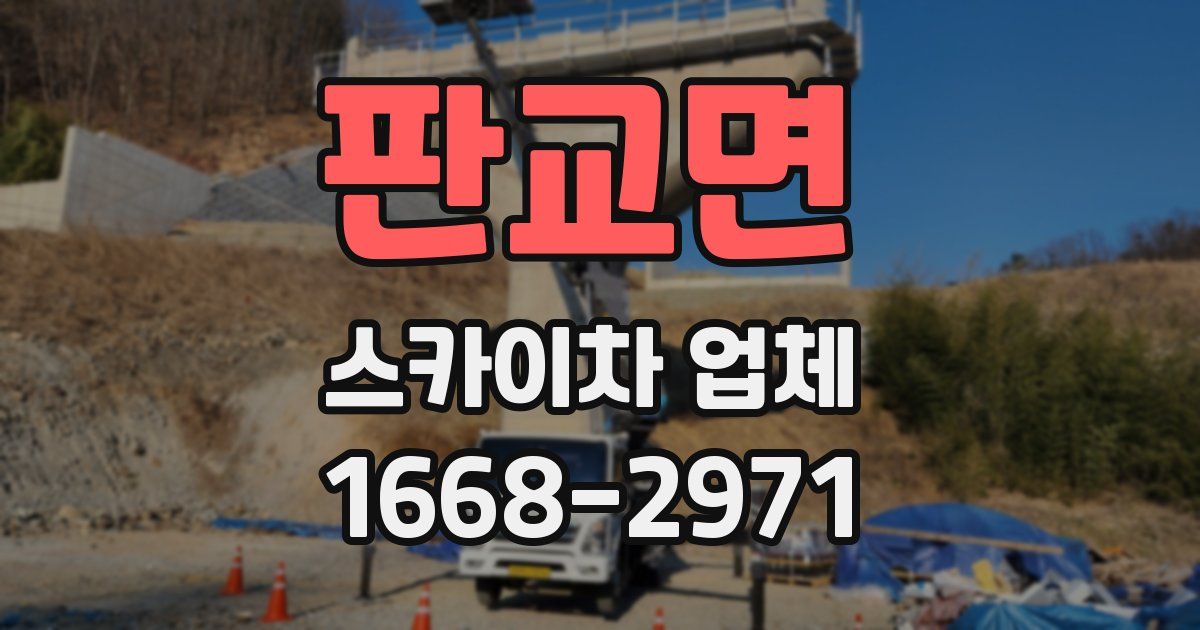판교면 스카이차 업체