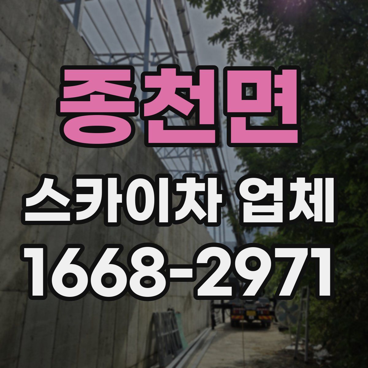 종천면 스카이차 업체