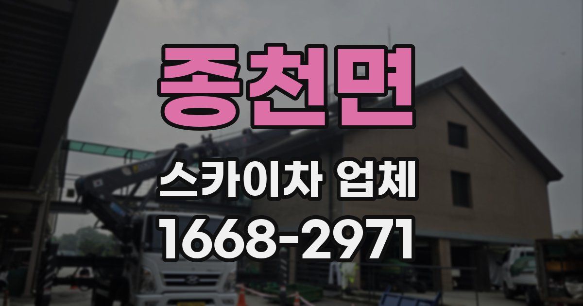 종천면 스카이차 업체